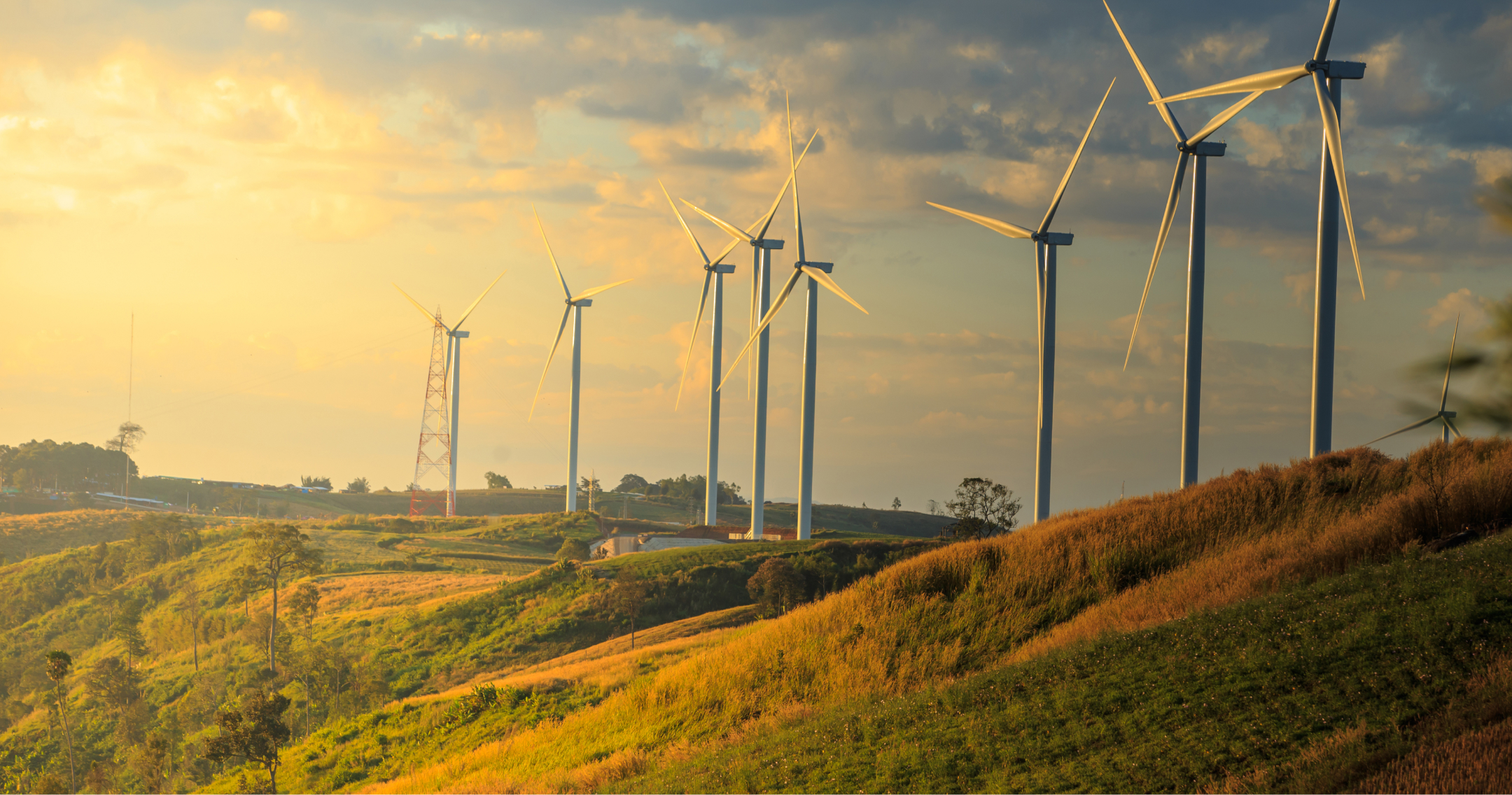 A picture of wind turbines in a sunset