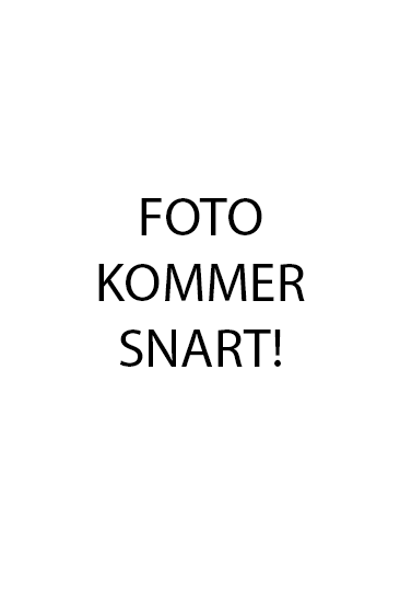 En bild med text Foto kommer snart